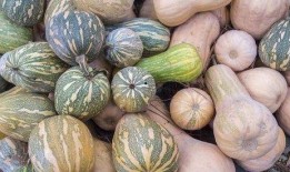 毒娱乐吃瓜,毒娱乐吃瓜背后的真相与内幕