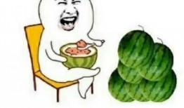 吃瓜娱乐区,揭秘明星幕后故事与八卦传闻