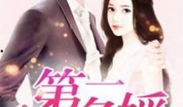 娱乐吃瓜君名媛是谁啊小说,名媛背后的神秘故事