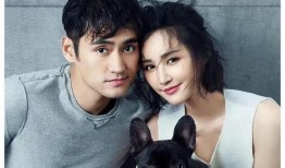 娱乐圈吃瓜小达人是谁,揭秘幕后真相的神秘人物