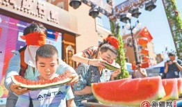 吃瓜娱乐区,揭秘明星幕后故事与八卦传闻